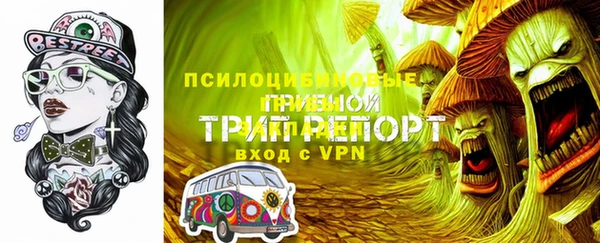 марки nbome Горняк