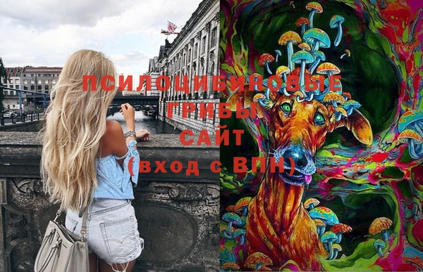 ГАЛЛЮЦИНОГЕННЫЕ ГРИБЫ Усмань