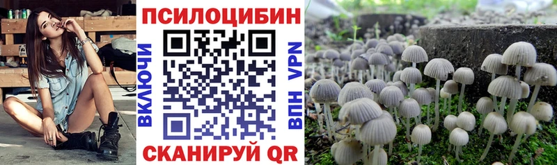 наркота  Макаров  omg tor  Псилоцибиновые грибы Magic Shrooms 